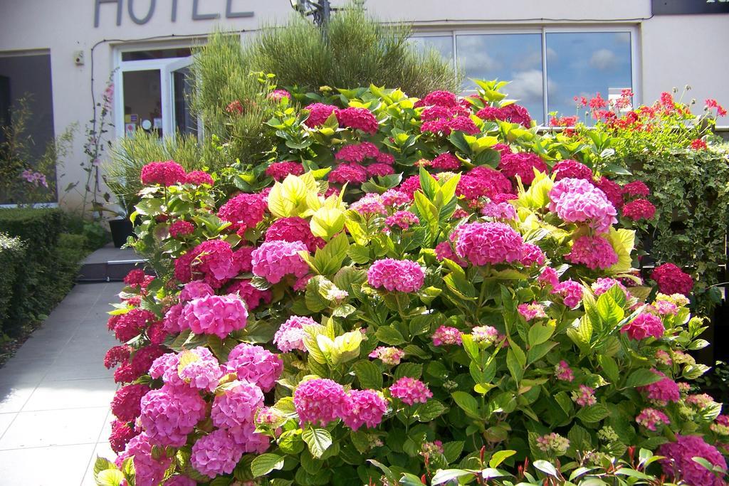 Hotel Bal Tournehem Exterior photo
